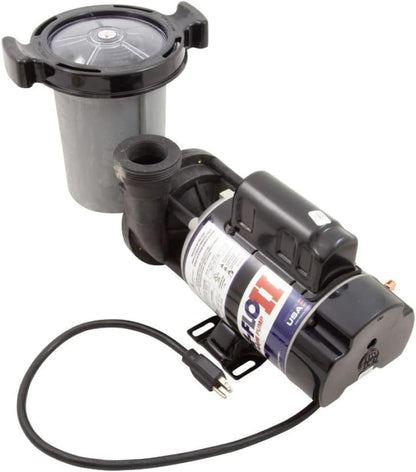 Waterway Hi-Flo II 2 HP Dual-Speed Above Ground Pool Pump